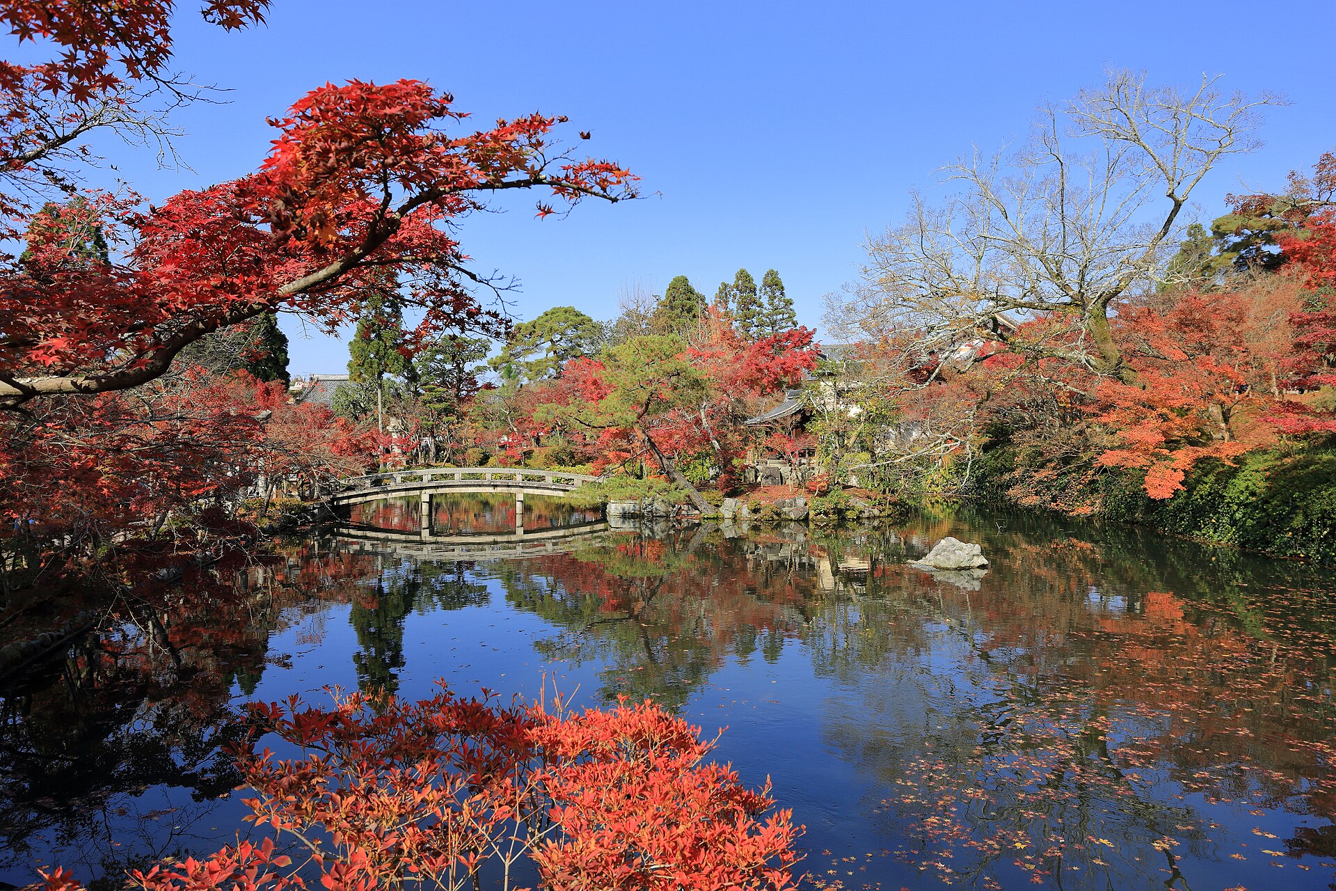 永観堂（禅林寺）